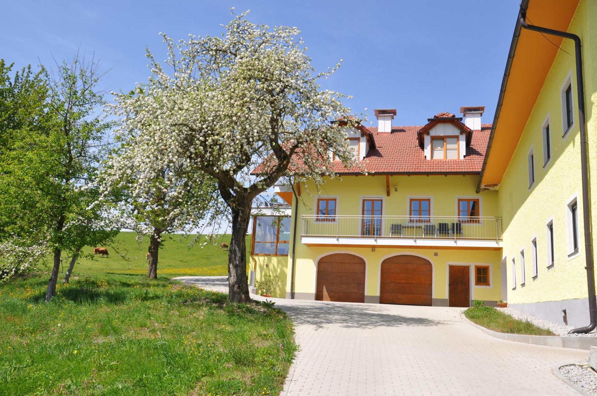 Ferienwohnung Mayrhofer Hofkirchen im Mühlkreis Εξωτερικό φωτογραφία